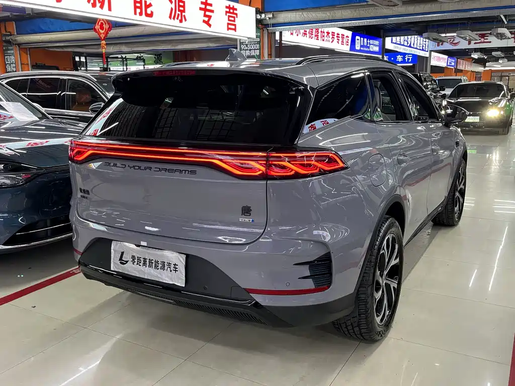 BYD Tang New Energy — фото 6