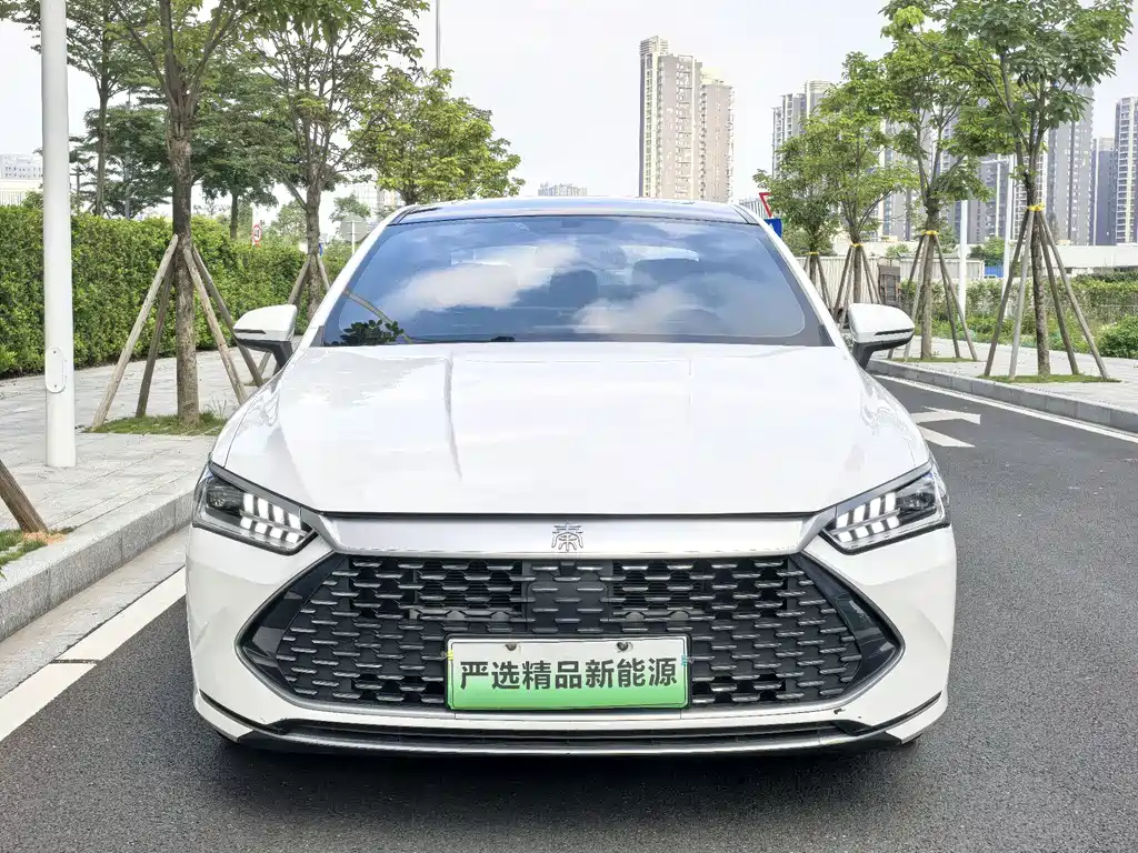 BYD Qin PLUS — фото 2