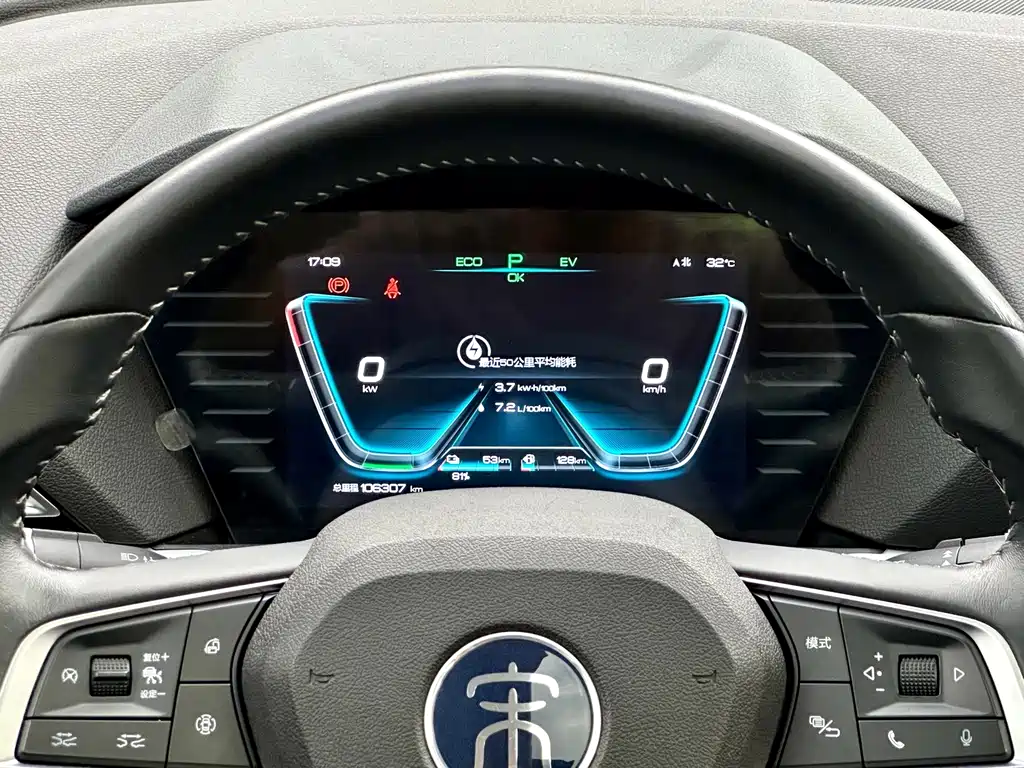 BYD Pro New Energy — фото 13