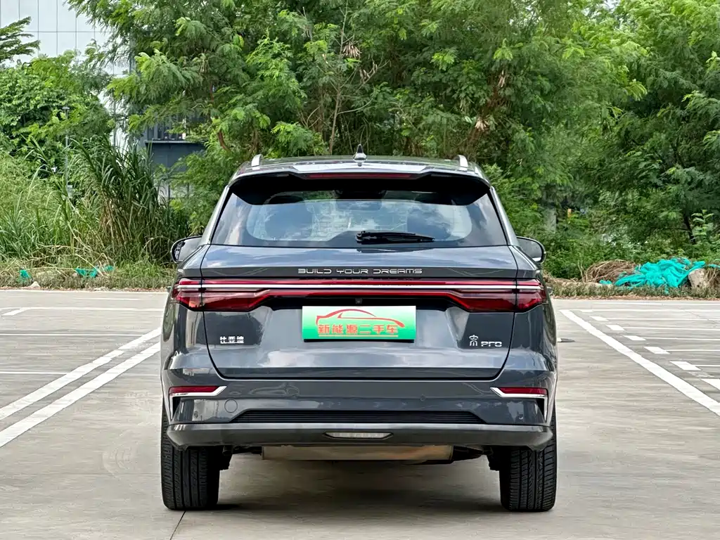BYD Pro New Energy — фото 5