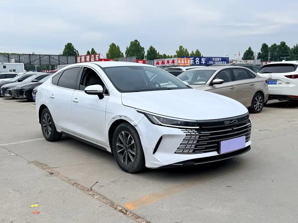 BYD Destroyer 05 — фото 3