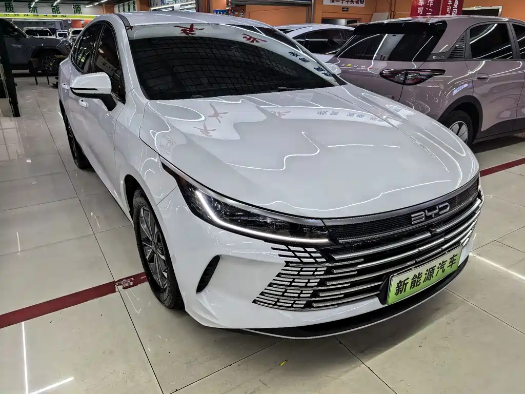BYD Destroyer 05 — фото 3