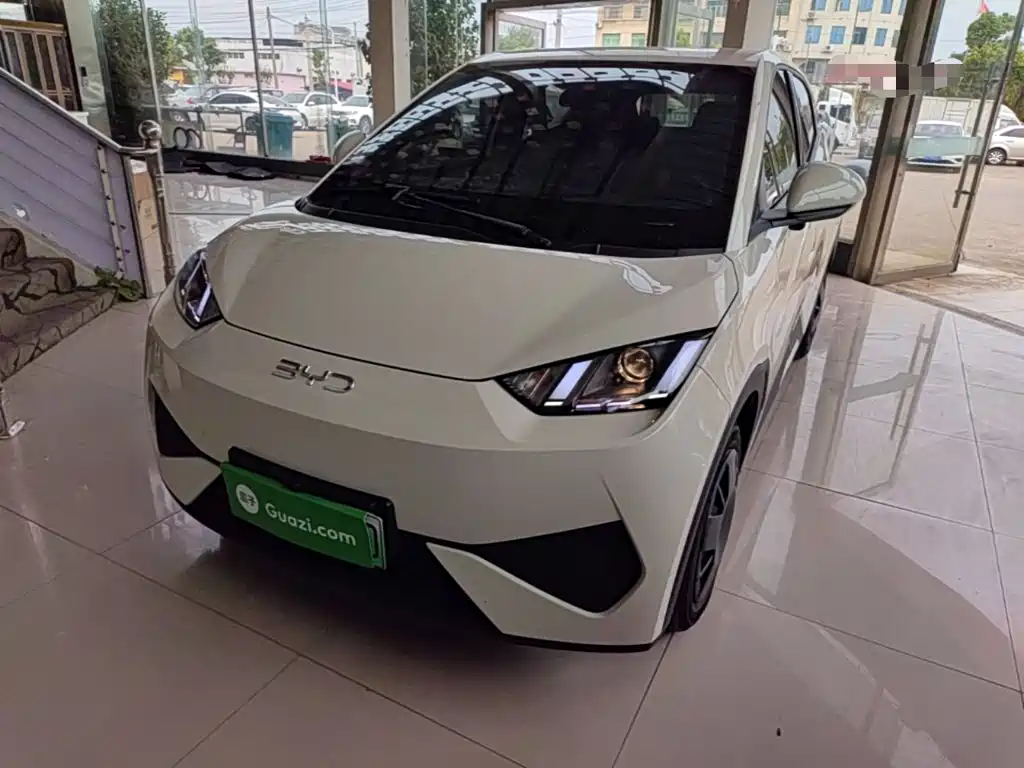 BYD Seagull