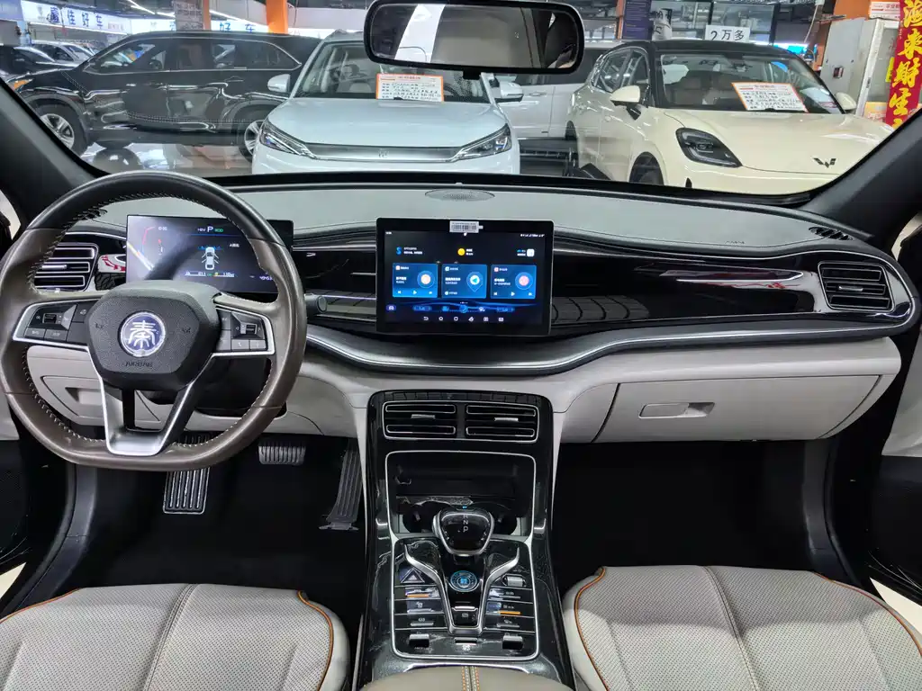 BYD Qin PLUS — фото 8