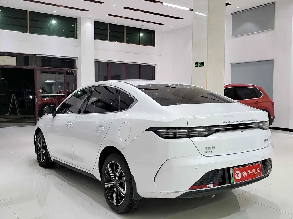 BYD Destroyer 05 — фото 13