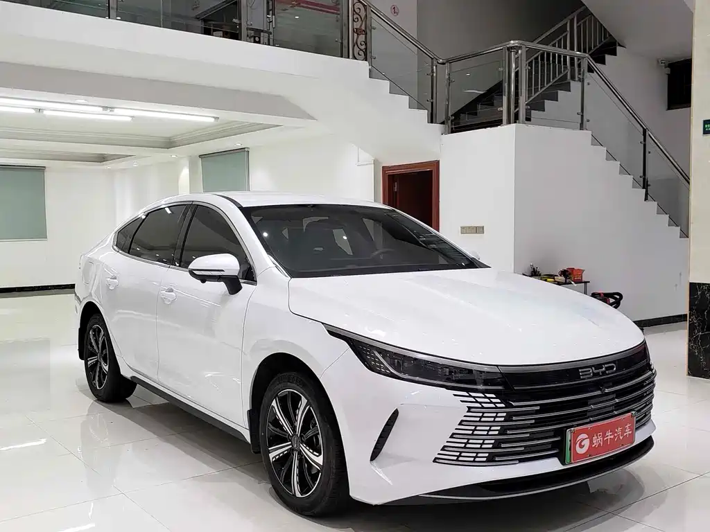BYD Destroyer 05 — фото 3