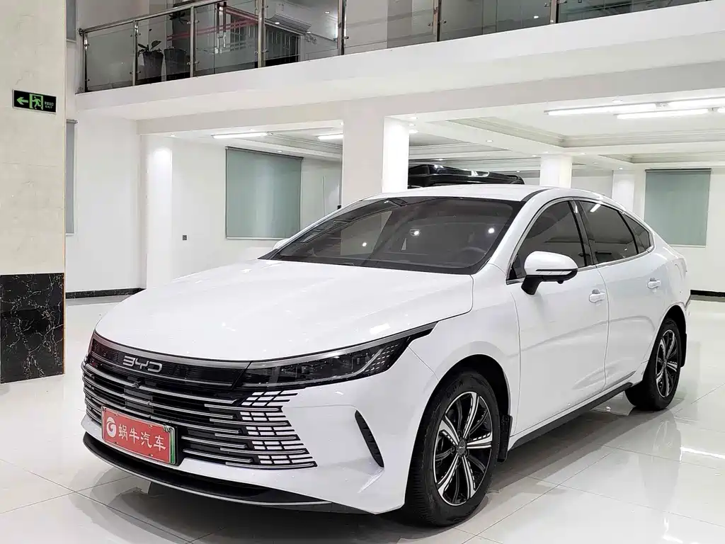 BYD Destroyer 05