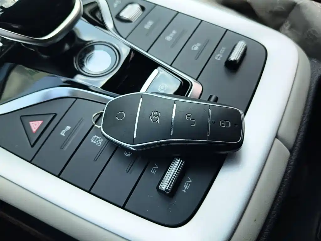 BYD Pro New Energy — фото 13