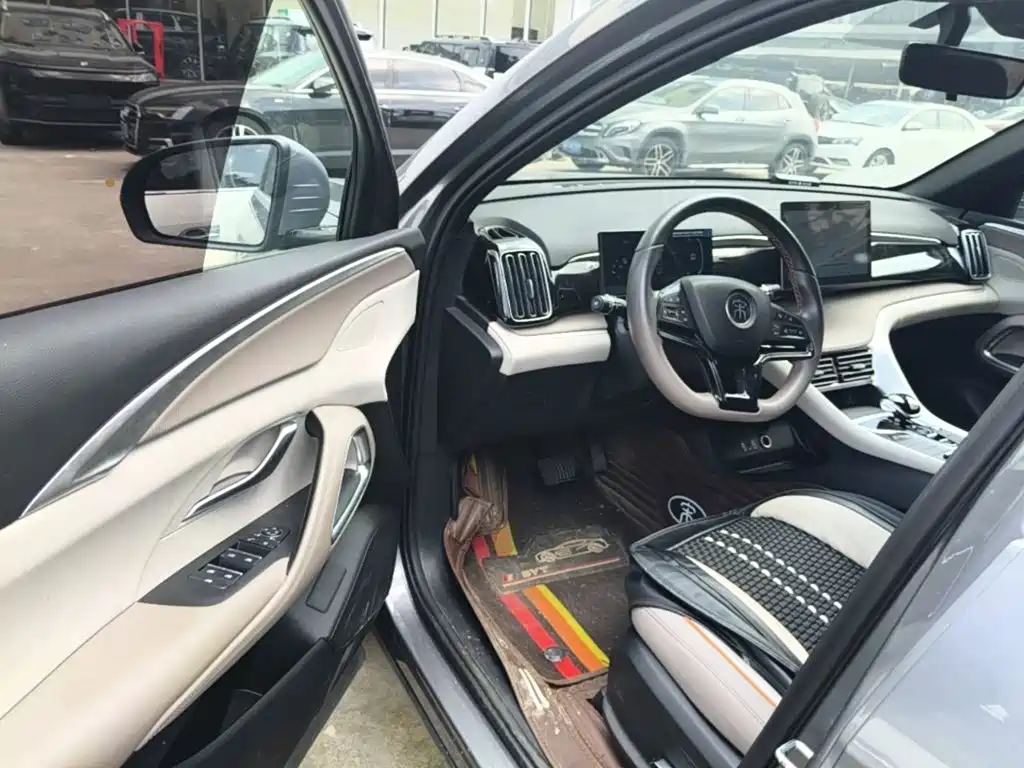 BYD Pro New Energy — фото 21