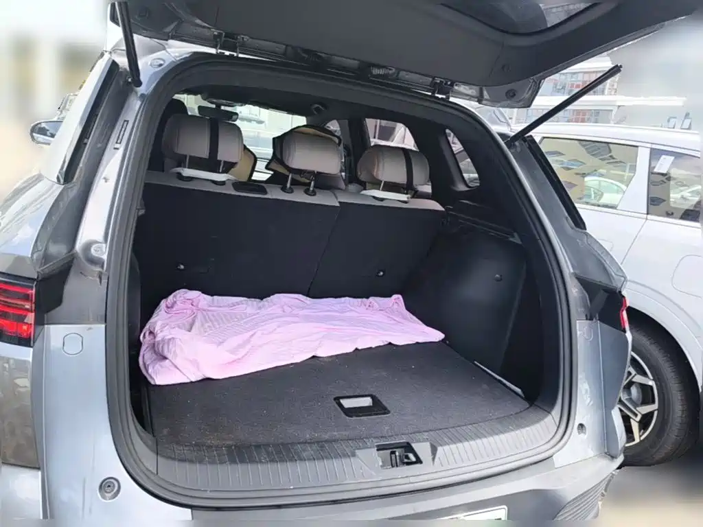 BYD Pro New Energy — фото 24