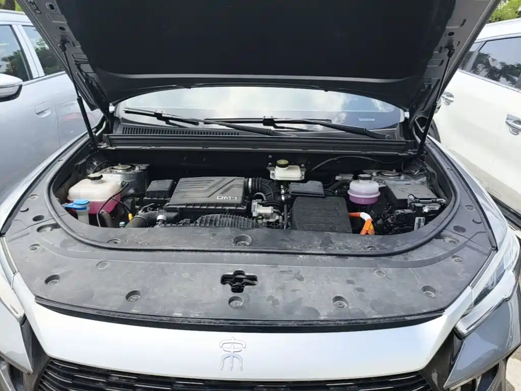 BYD Pro New Energy — фото 25