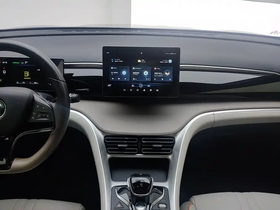 BYD Pro New Energy — фото 13