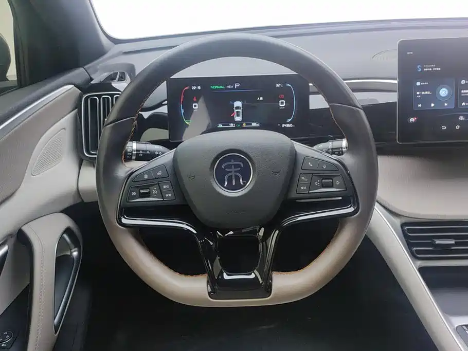 BYD Pro New Energy — фото 15