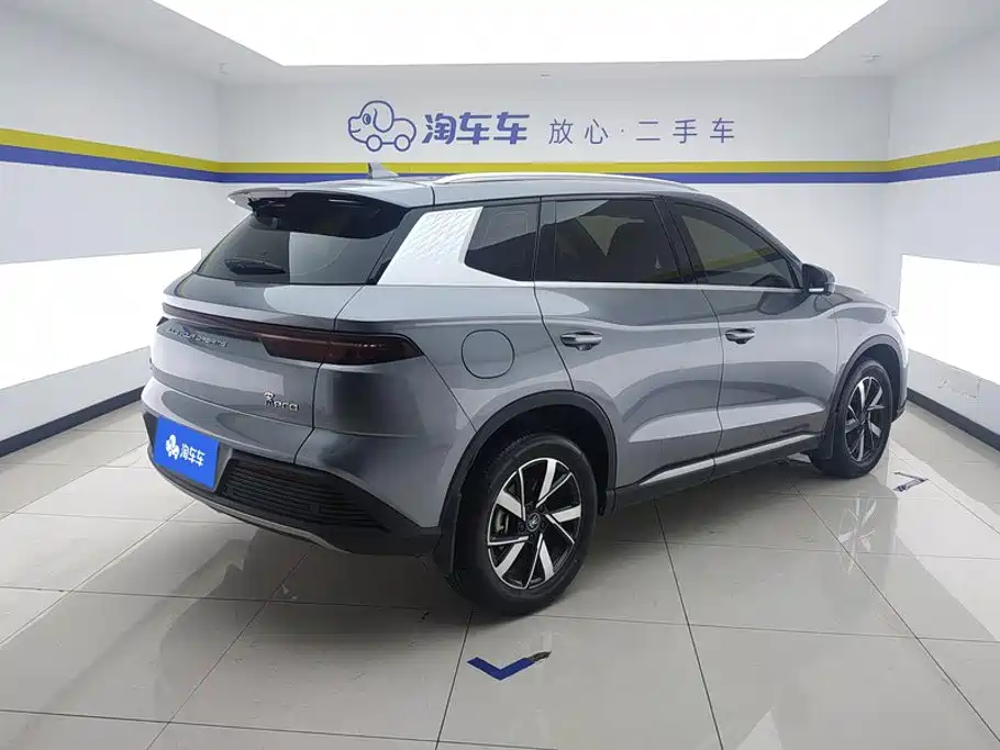 BYD Pro New Energy — фото 3