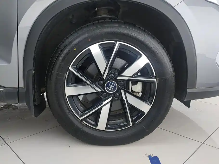 BYD Pro New Energy — фото 6
