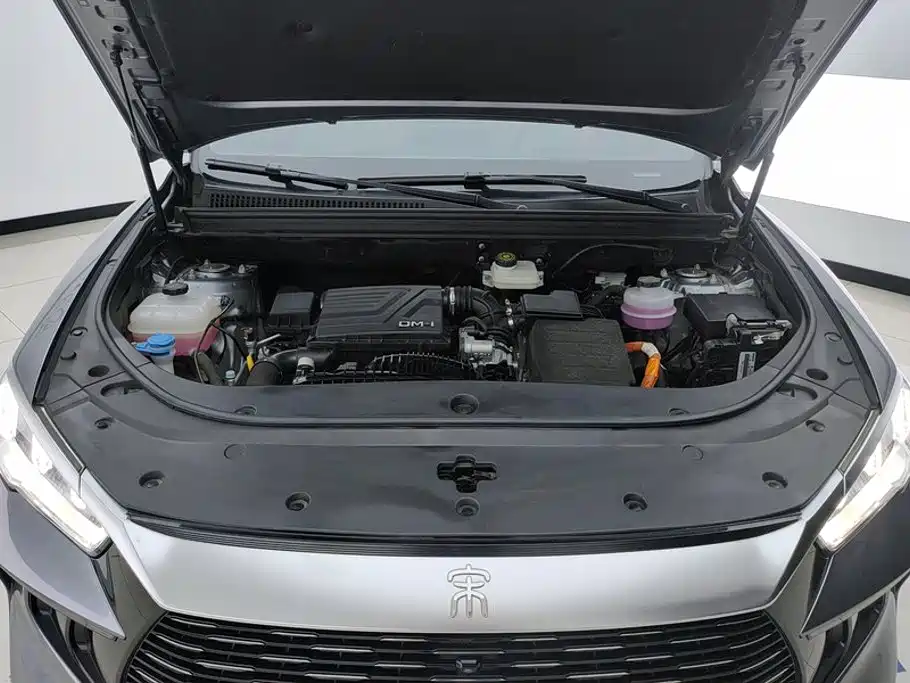 BYD Pro New Energy — фото 10