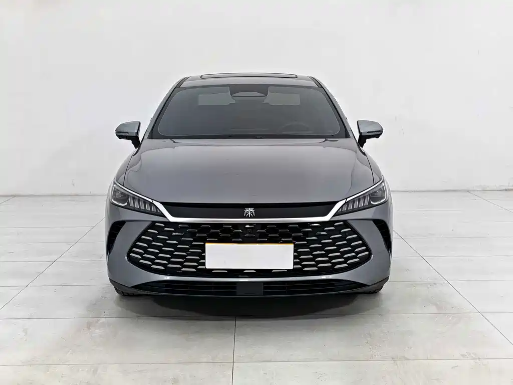 BYD Qin PLUS — фото 6