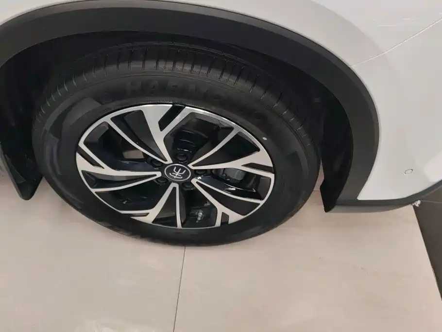BYD Pro New Energy — фото 6