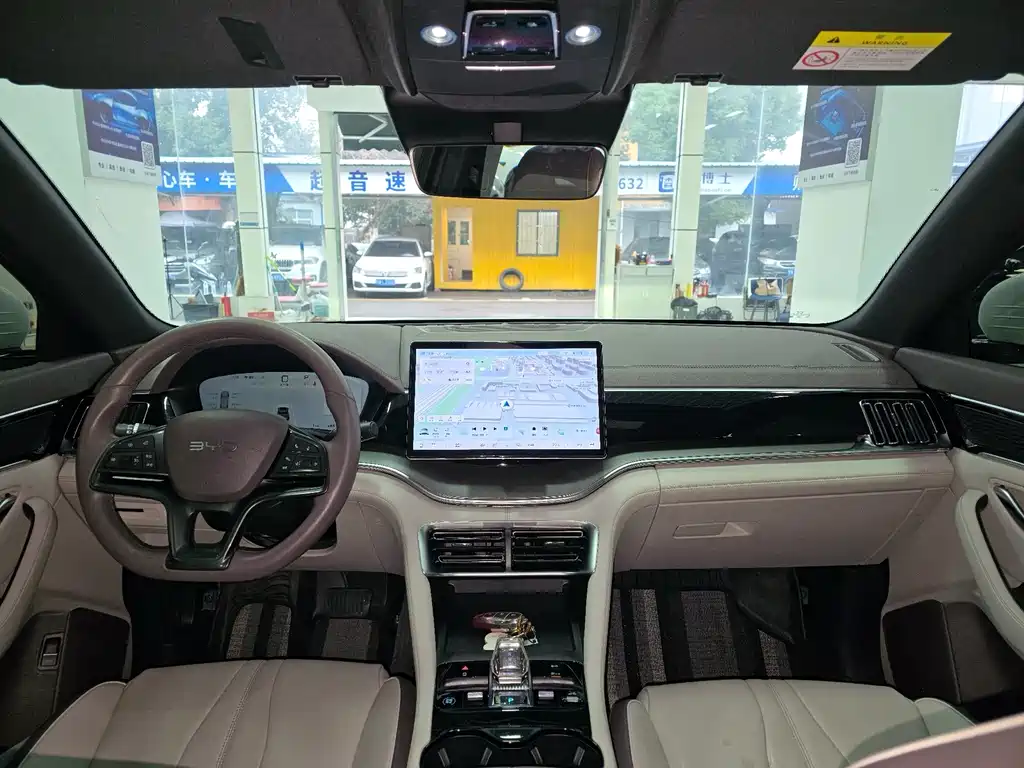 BYD PLUS New Energy — фото 4
