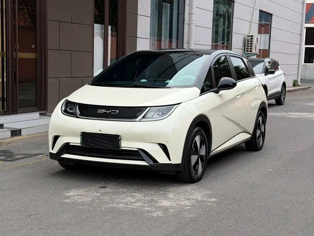 BYD Dolphin