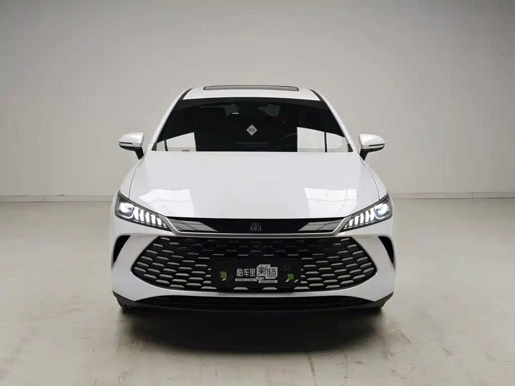 BYD Qin PLUS — фото 2