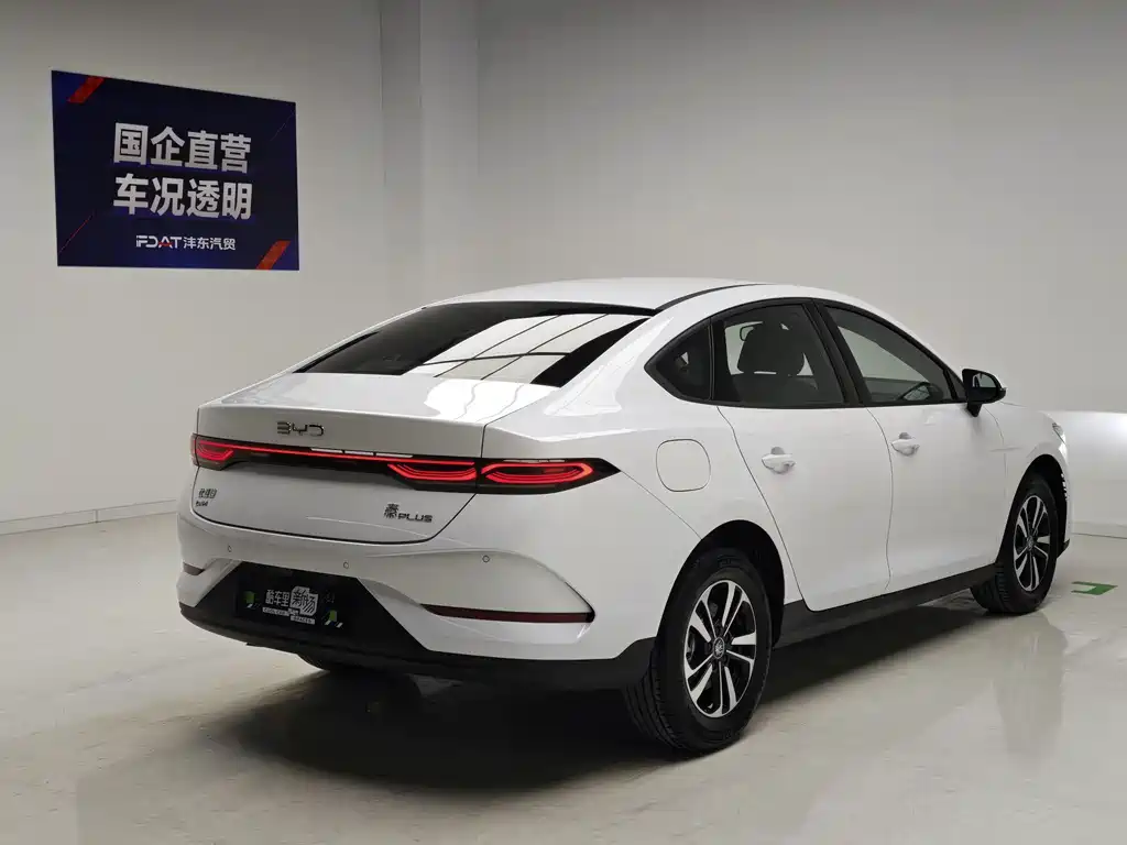 BYD Qin PLUS — фото 4