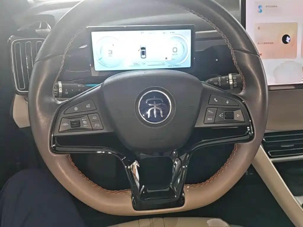 BYD Pro New Energy — фото 11