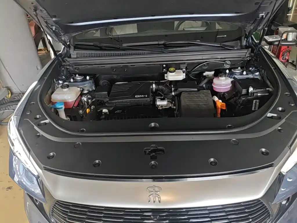 BYD Pro New Energy — фото 20