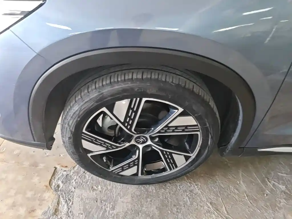 BYD Pro New Energy — фото 23