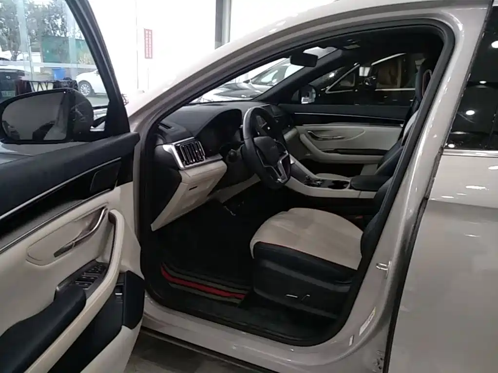 BYD PLUS New Energy — фото 15