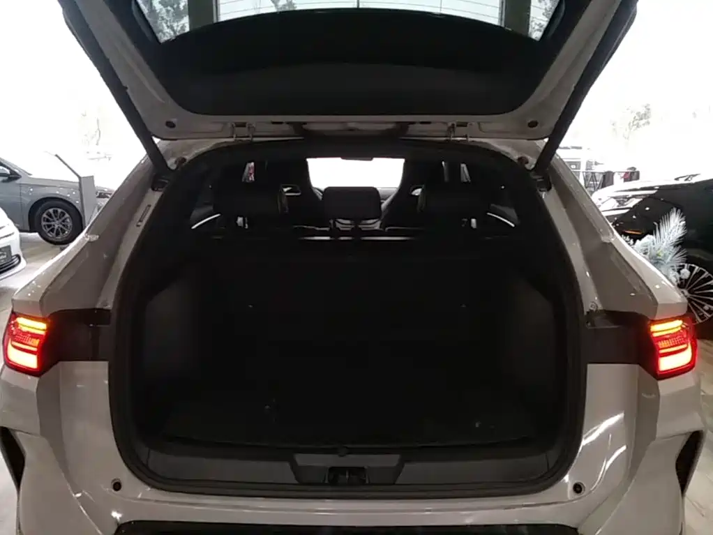 BYD PLUS New Energy — фото 19