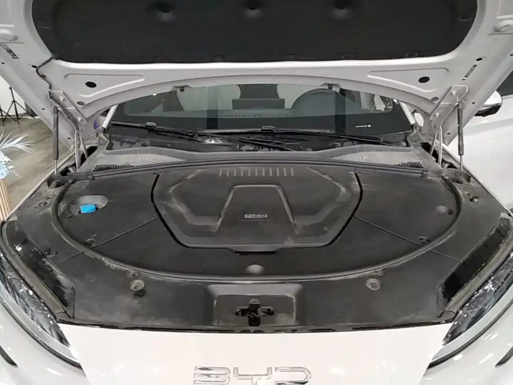 BYD PLUS New Energy — фото 20