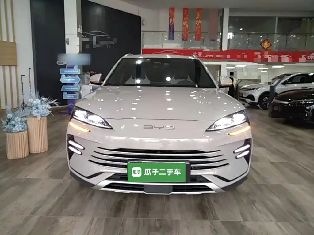 BYD PLUS New Energy — фото 3