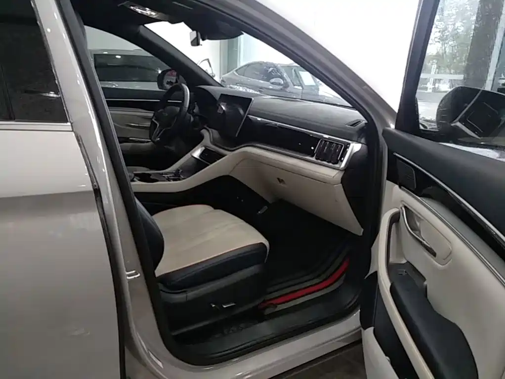 BYD PLUS New Energy — фото 25