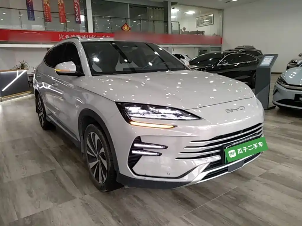BYD PLUS New Energy — фото 4
