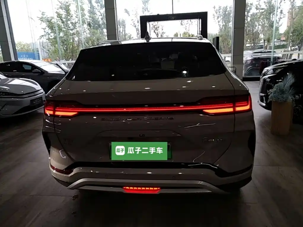 BYD PLUS New Energy — фото 6
