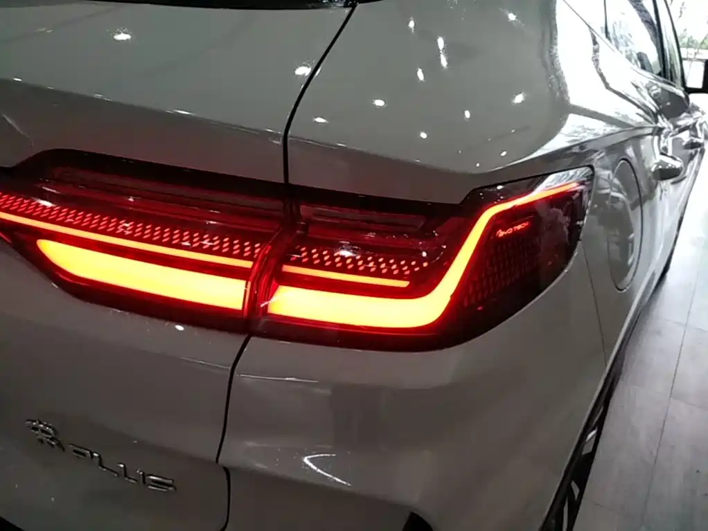 BYD PLUS New Energy — фото 8