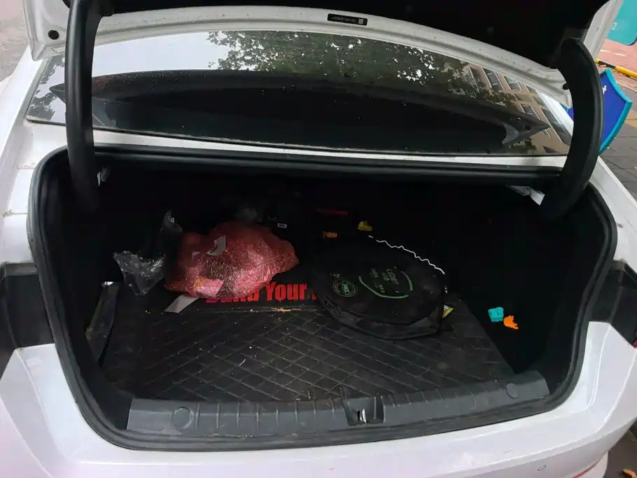 BYD Qin Pro NEV — фото 4