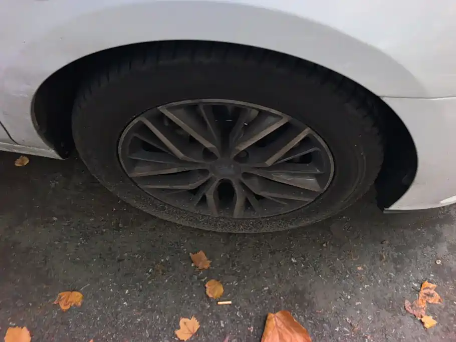 BYD Qin Pro NEV — фото 6