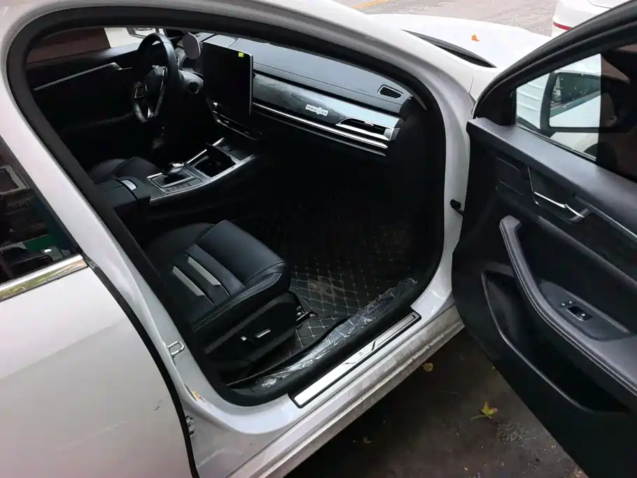 BYD Qin Pro NEV — фото 8