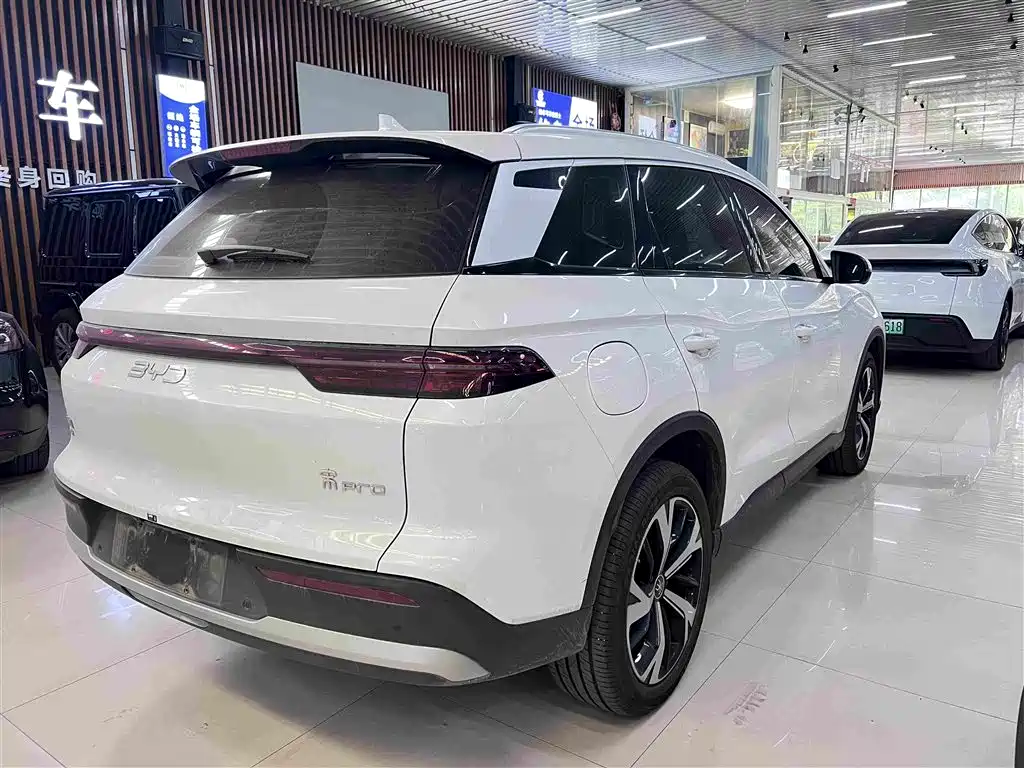 BYD Pro New Energy — фото 11