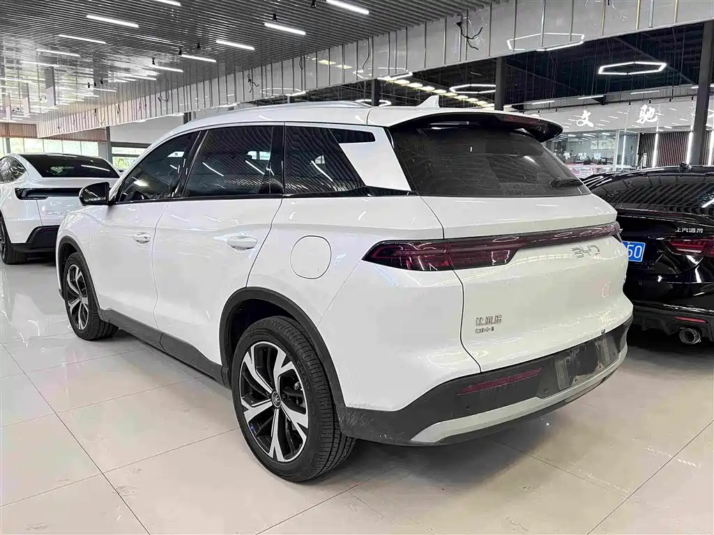 BYD Pro New Energy — фото 9