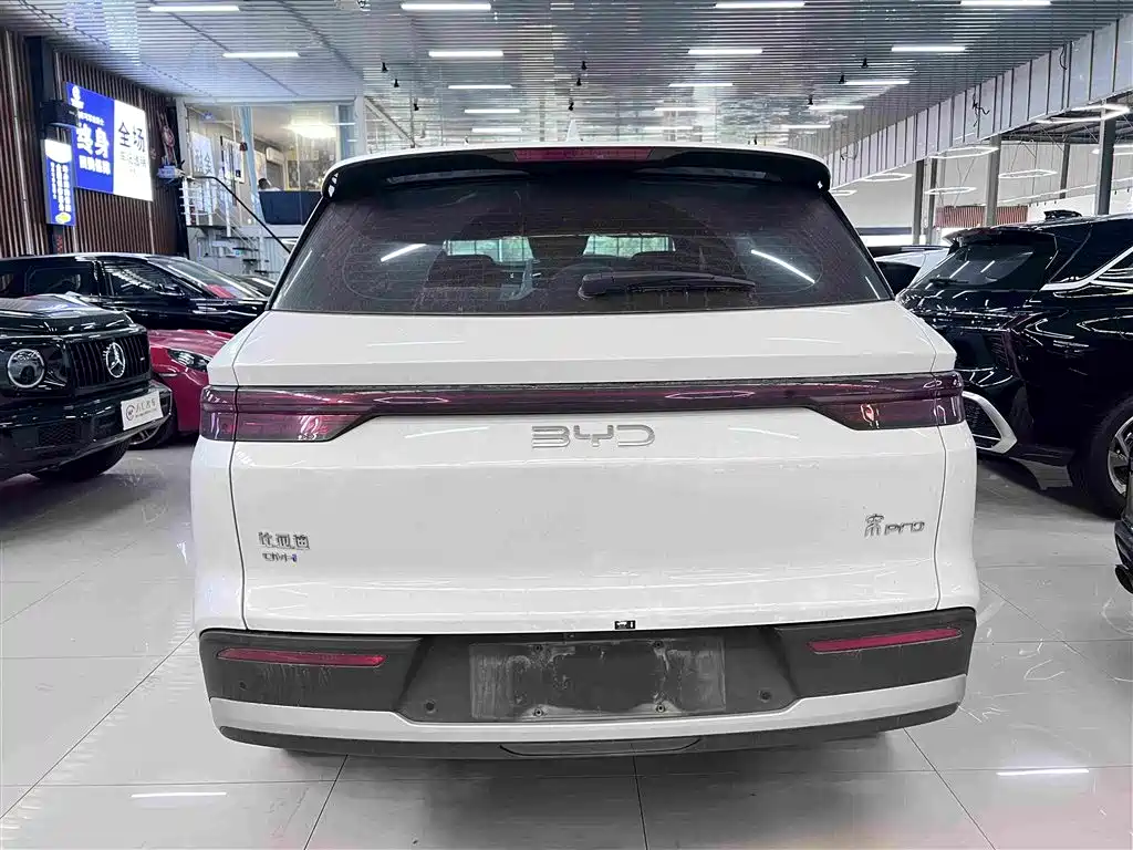 BYD Pro New Energy — фото 10