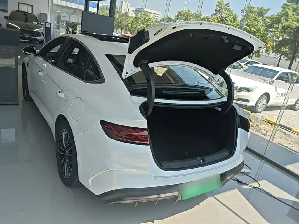 BYD Qin L — фото 19