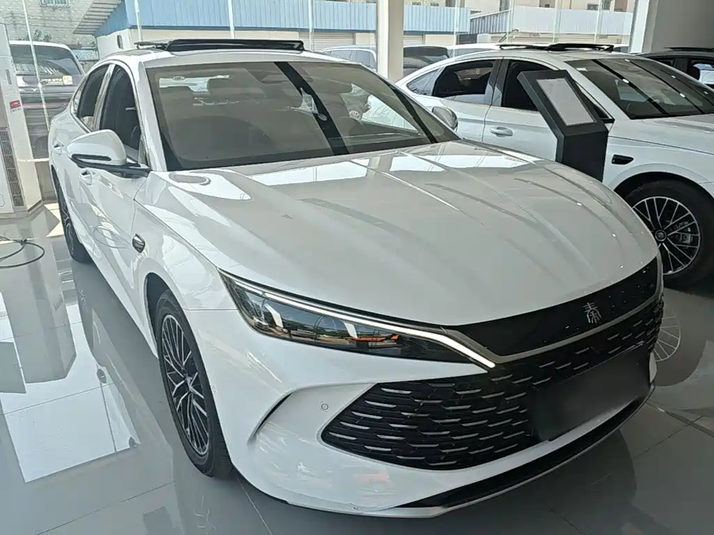 BYD Qin L — фото 4