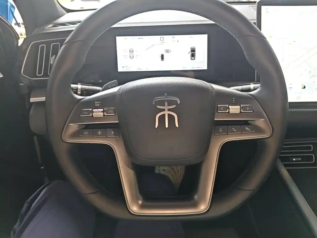 BYD Pro New Energy — фото 11