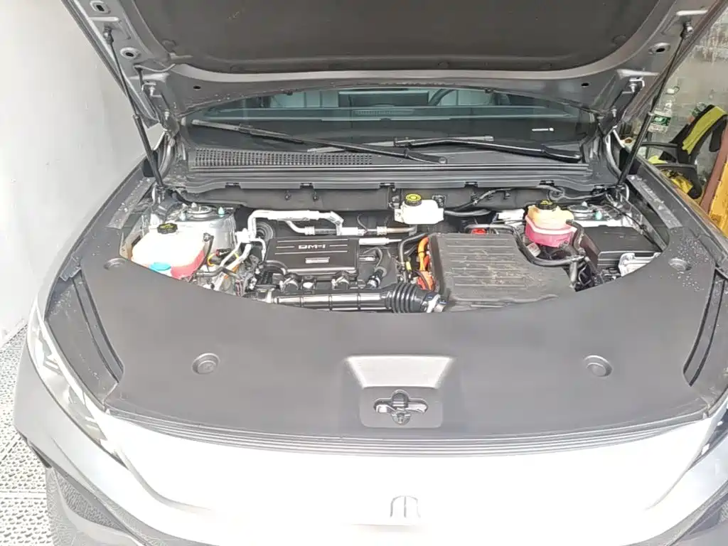 BYD Pro New Energy — фото 20