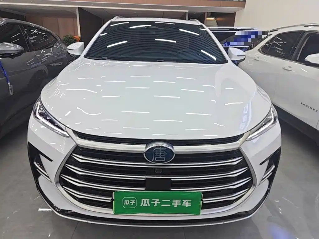 BYD Tang New Energy — фото 3