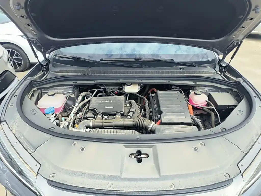 BYD L DM-i — фото 20