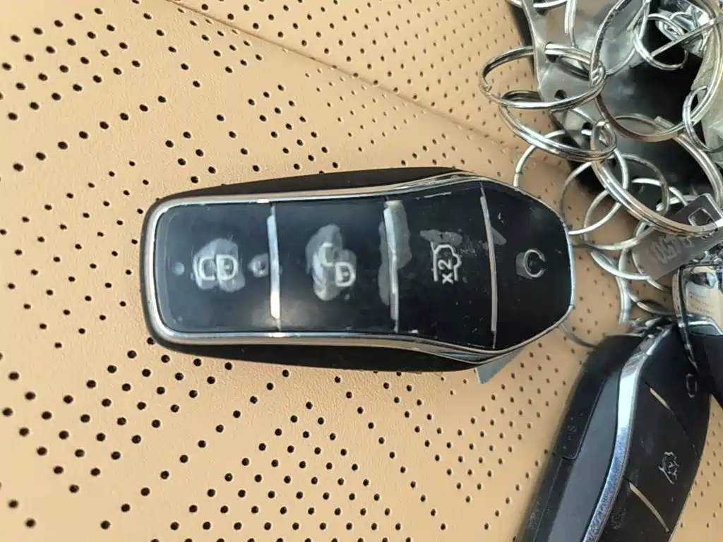 BYD L DM-i — фото 9
